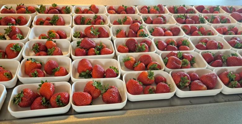 Adapter les portions pour faire la chasse au gaspillage