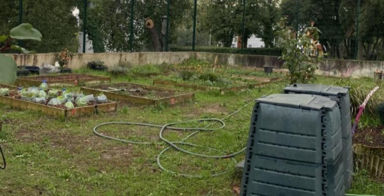 Schoelcher a la main verte